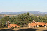 Bienvenue à la ferme Les Pélissiers